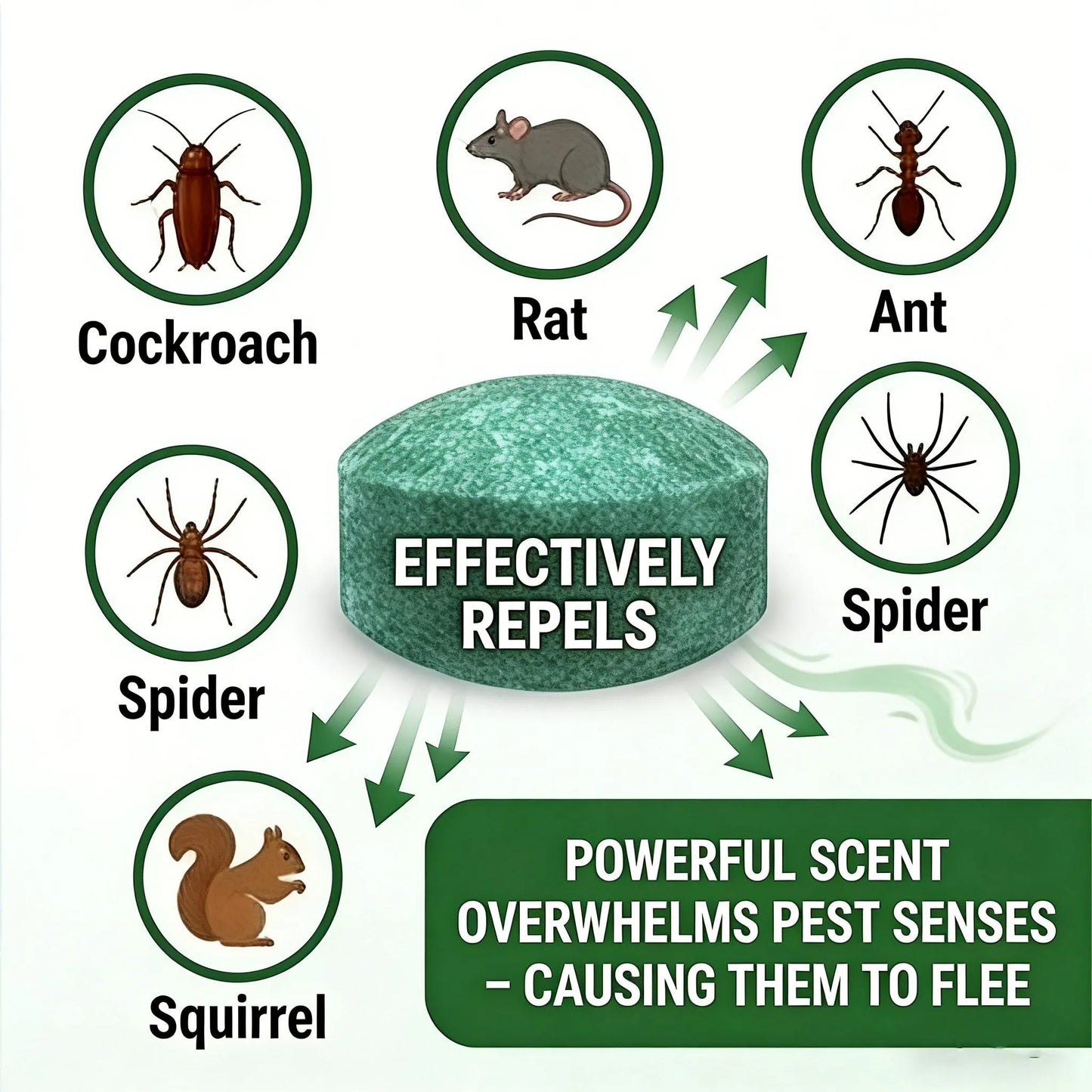 Natural Peppermint Rodent Repellent Balls (12 Pack) 🚫Keep Rats, Mice & Pests Away Safely✅